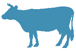 корова.png